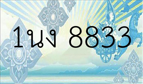 1นง 8833